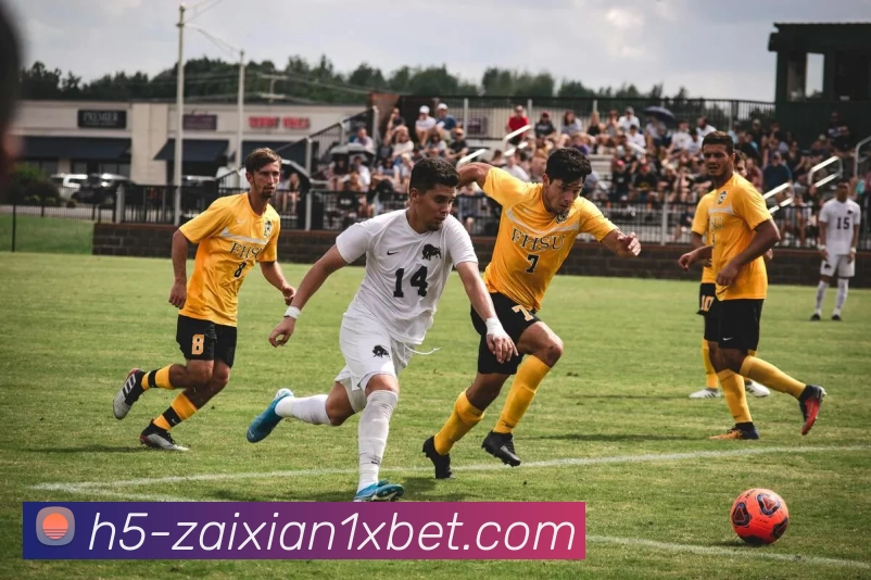 App Interface Preview